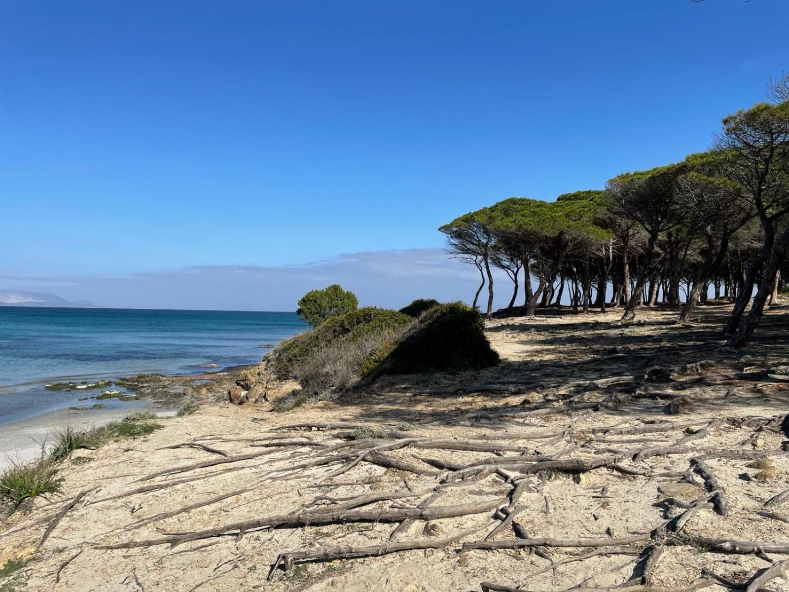 Sorres De Mare Budoni Exterior foto