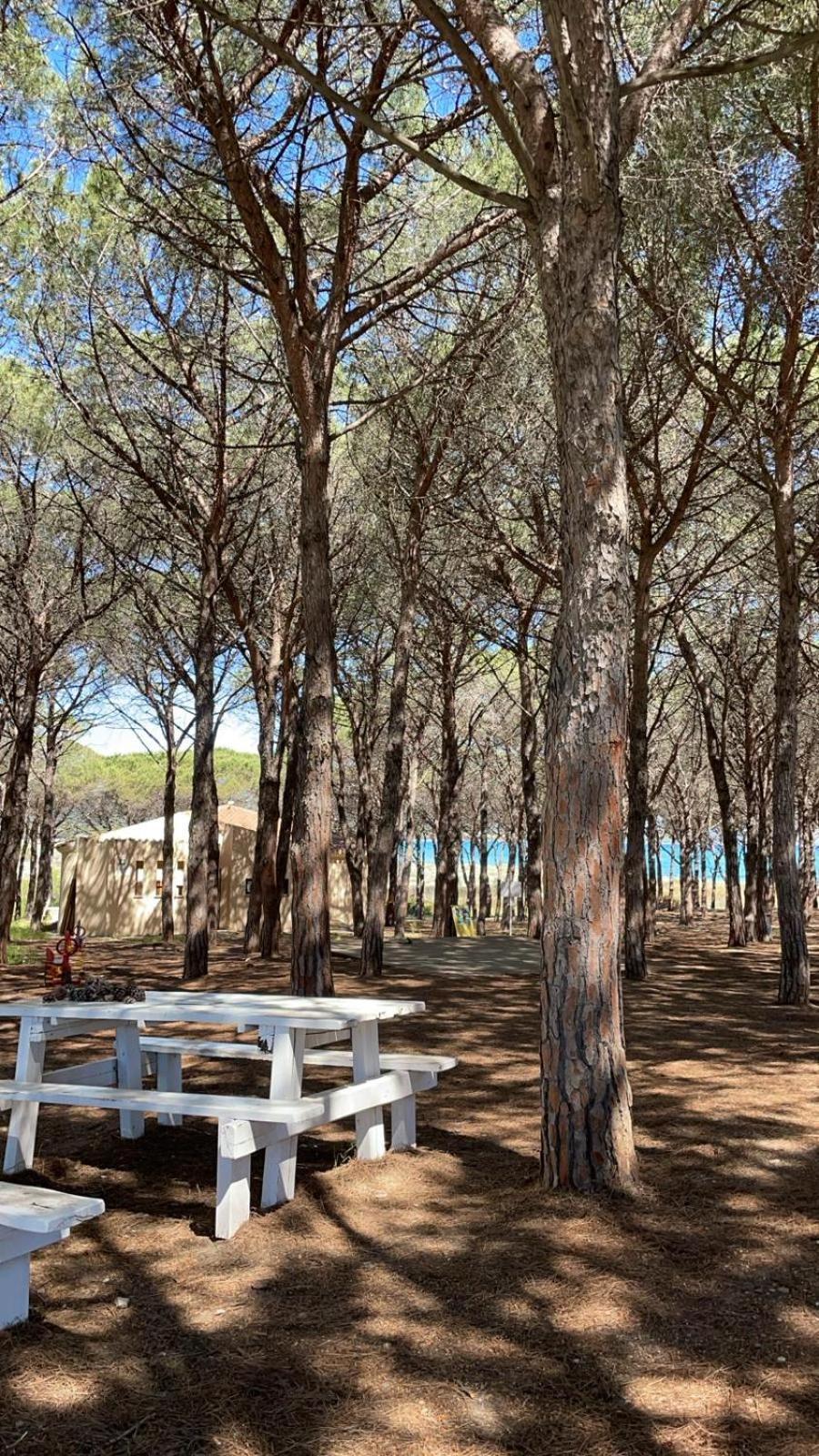 Sorres De Mare Budoni Exterior foto
