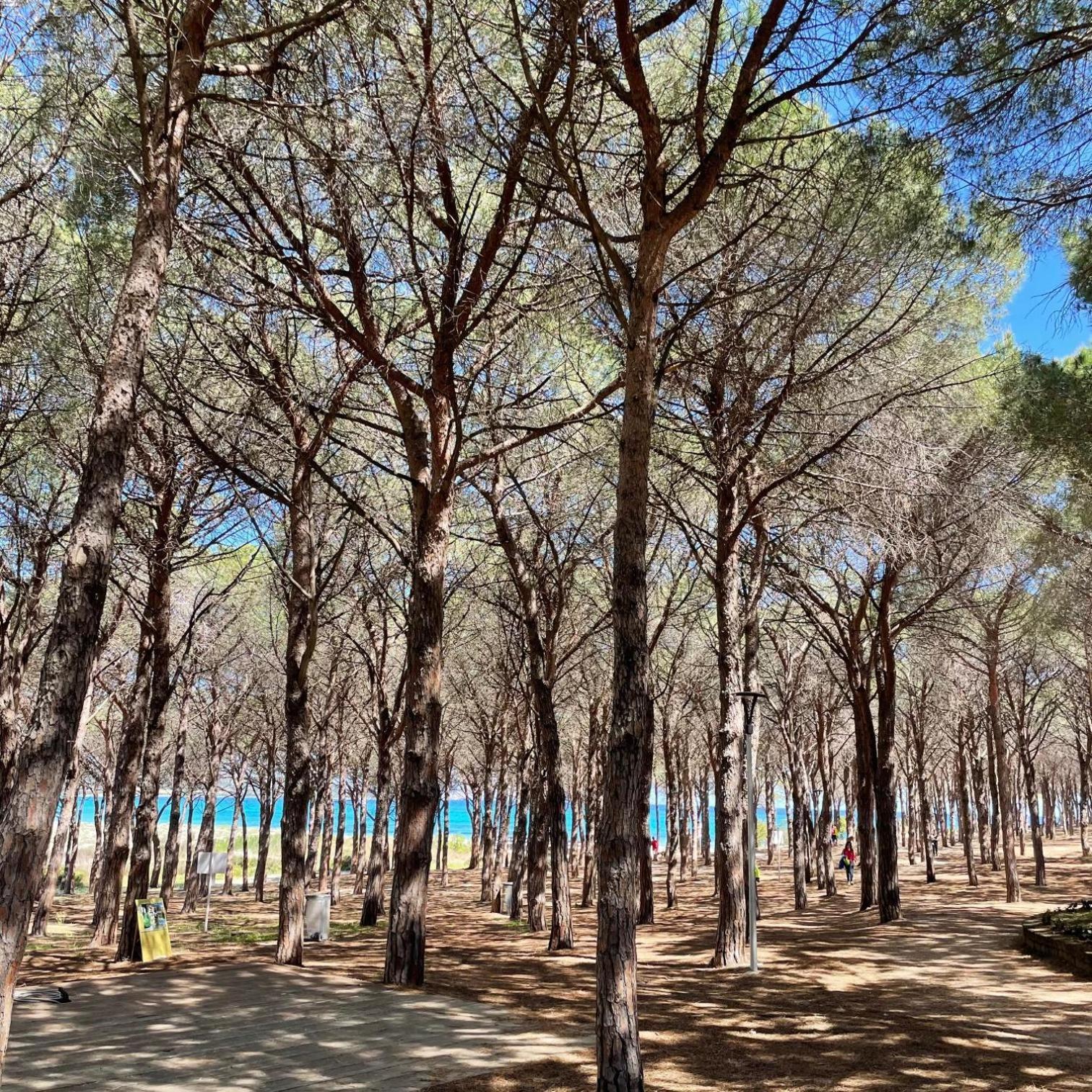 Sorres De Mare Budoni Exterior foto
