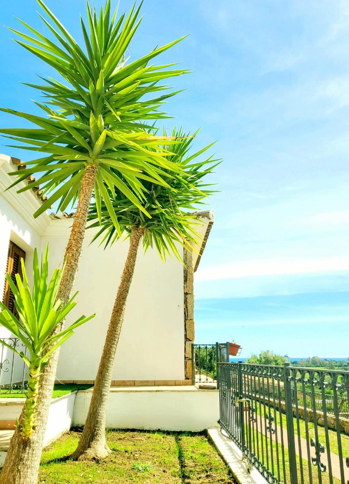 Sorres De Mare Budoni Exterior foto