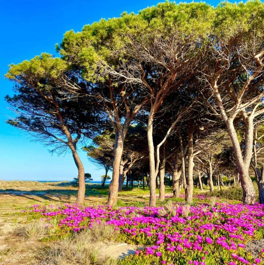 Sorres De Mare Budoni Exterior foto
